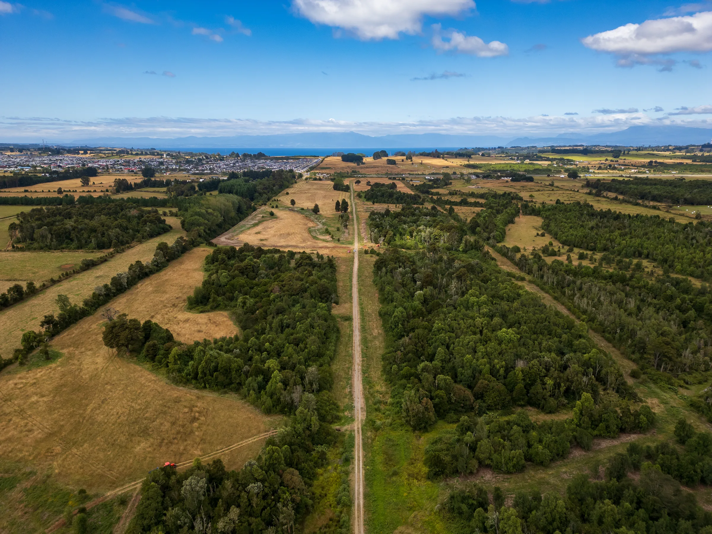 Vista del bosque norte del predio