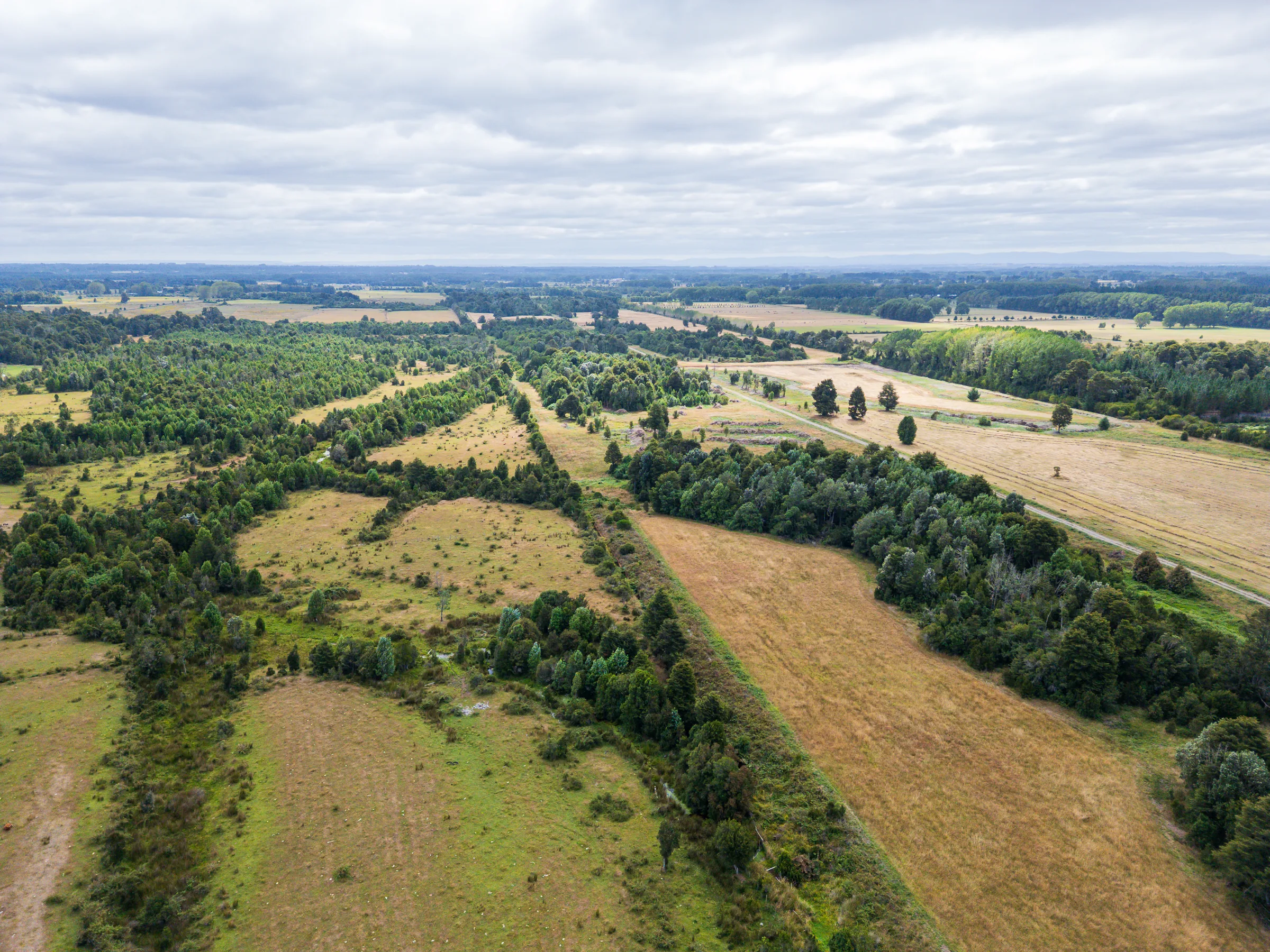 Vista del valle ñadi