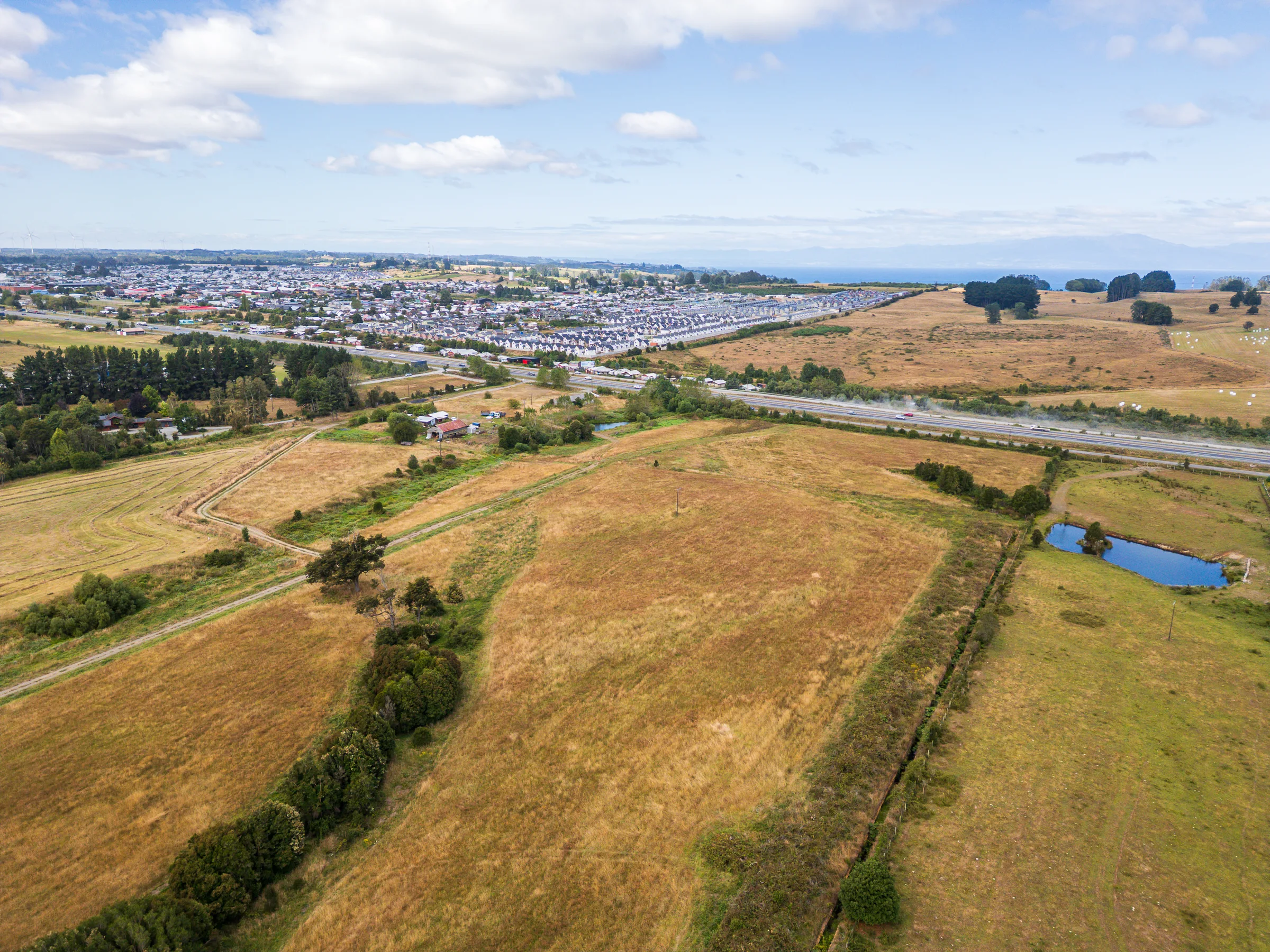 Humedal ñadi en el predio