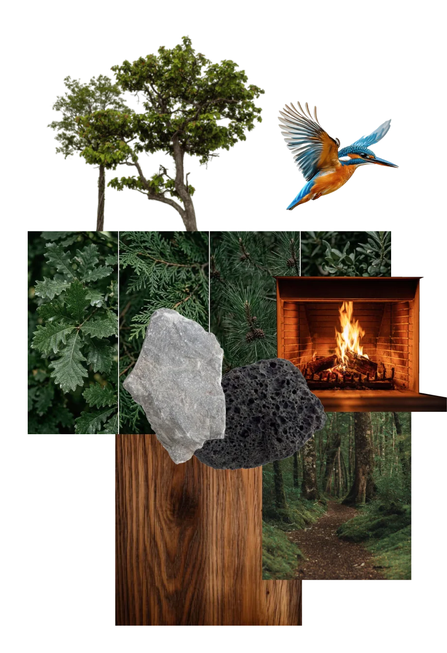 Atmósfera de atardecer en el predio